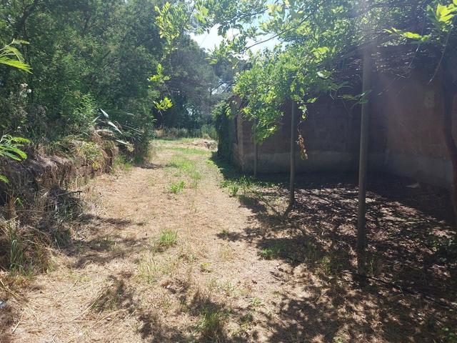 Agricoli in vendita