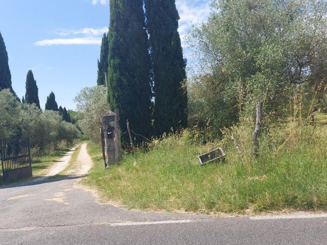Agricoli in vendita