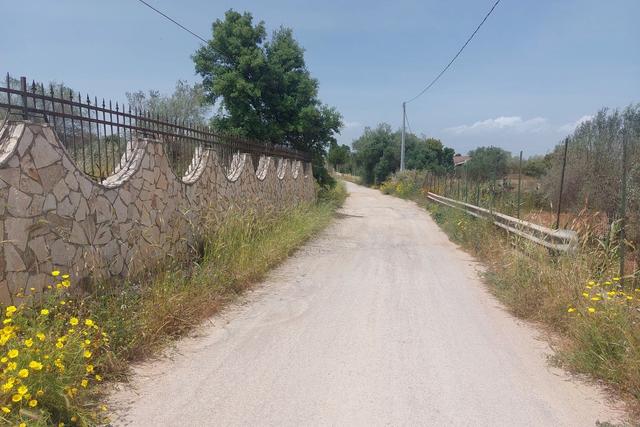 #2638953 Fondo rustico recintato in zona agricola in vendita - foto 5