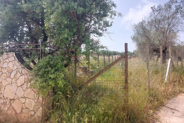 Agricoli in vendita