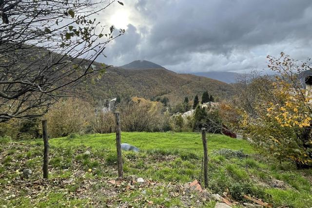 Agricoli in vendita