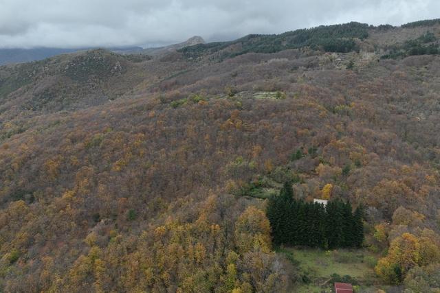 Agricoli in vendita