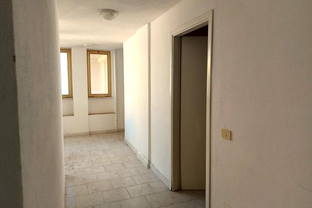 Grandi dimensioni in vendita
