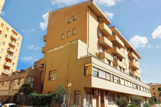 Grandi dimensioni in vendita