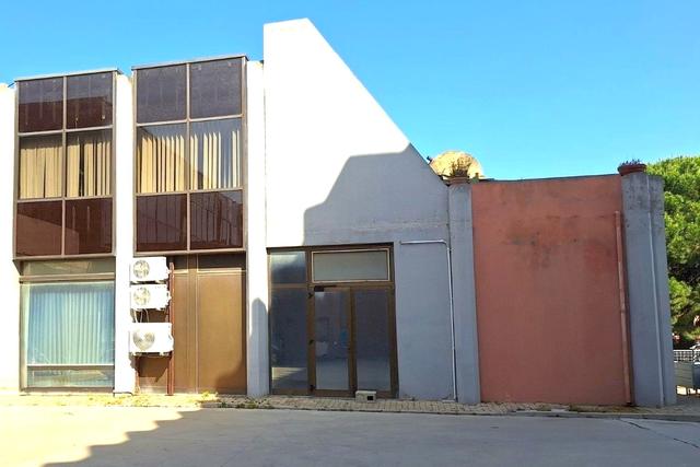 Grandi dimensioni in vendita