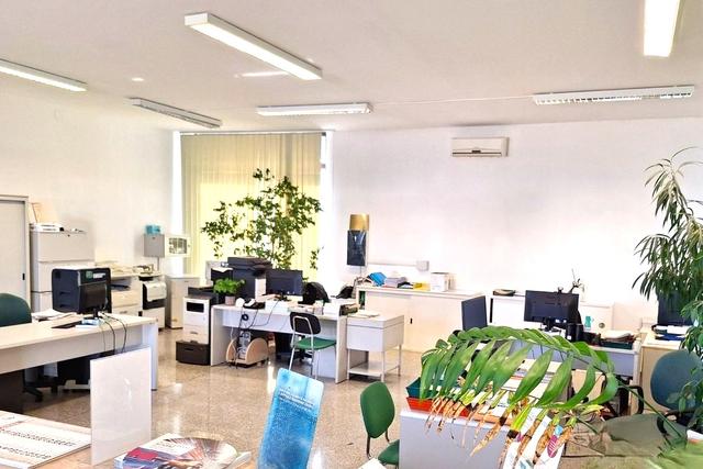 Grandi dimensioni in vendita