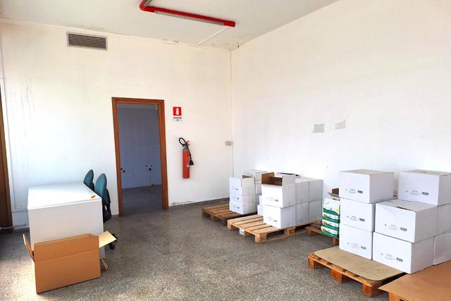 Grandi dimensioni in vendita