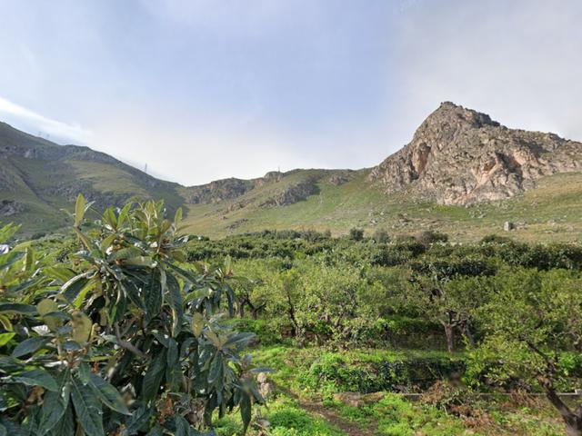 Agricoli in vendita