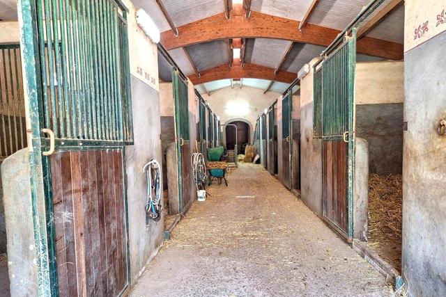 #2535007 Complesso ricettivo con piscina e maneggio in vendita - foto 28