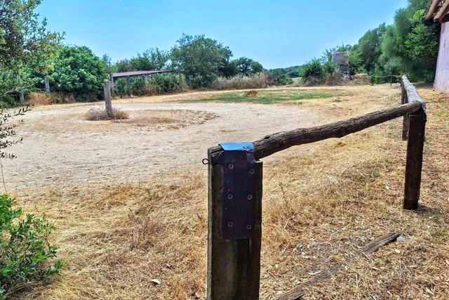 #2535007 Complesso ricettivo con piscina e maneggio in vendita - foto 29