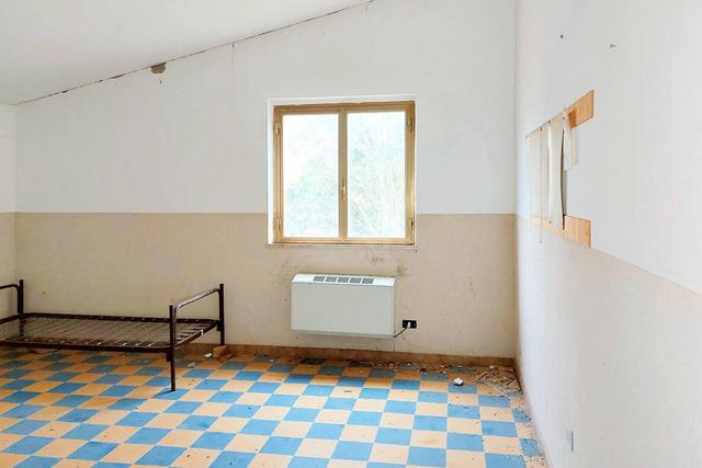 Grandi dimensioni in vendita