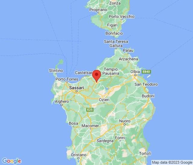 Grandi dimensioni in vendita