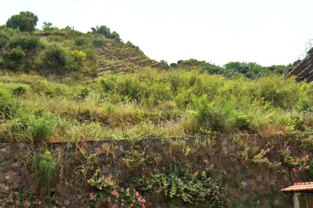 Agricoli in vendita
