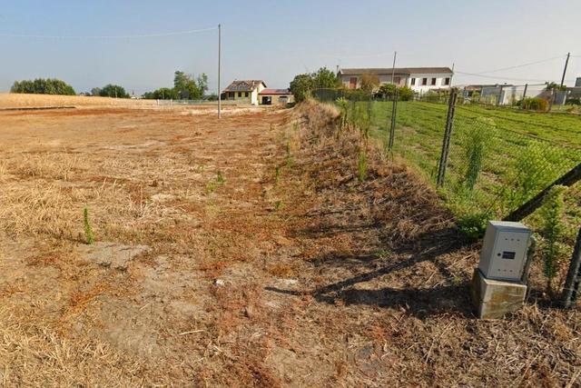 Agricoli in vendita