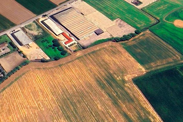 Agricoli in vendita