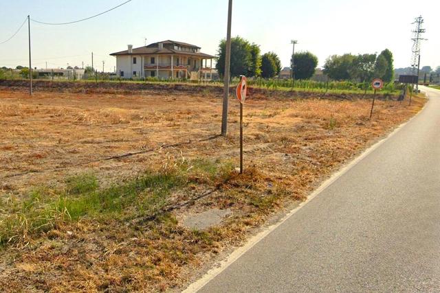 Agricoli in vendita