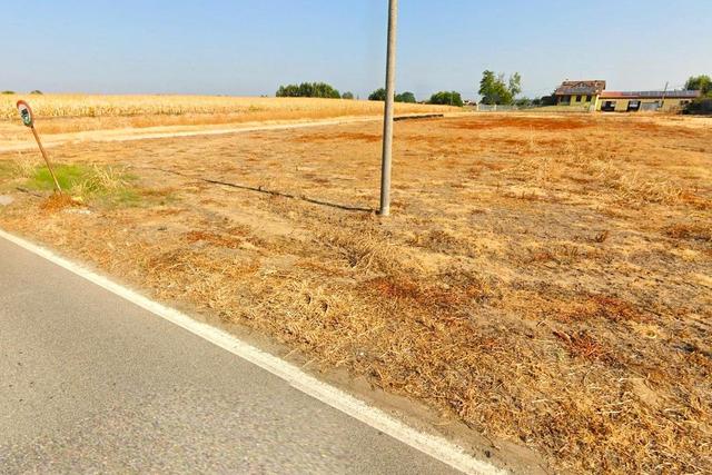 Agricoli in vendita