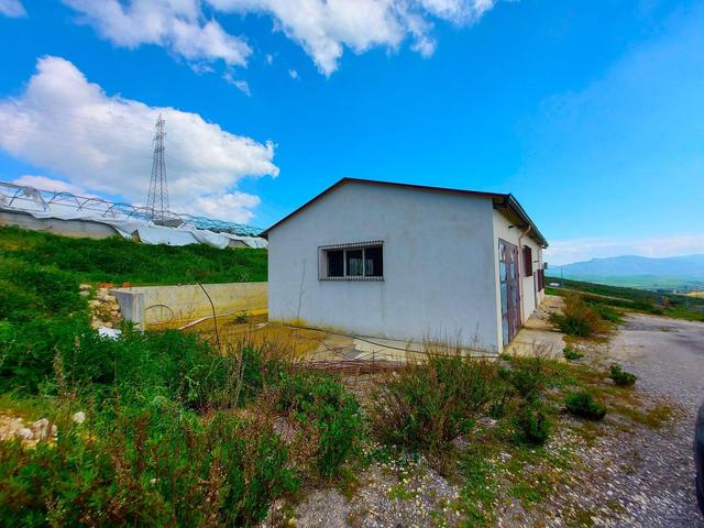 #19819 Capannone con serre e terreni agricoli in vendita - foto 2