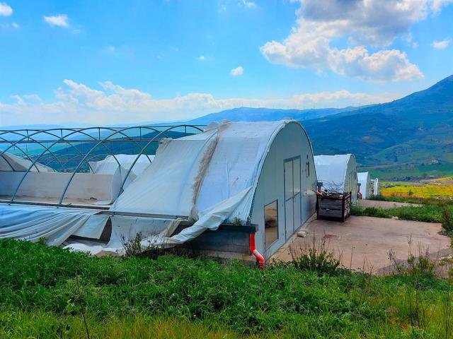 #19819 Capannone con serre e terreni agricoli in vendita - foto 12