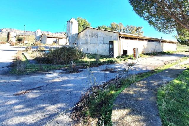 #25013 Complesso zootecnico con impianti e strutture in vendita - foto 22