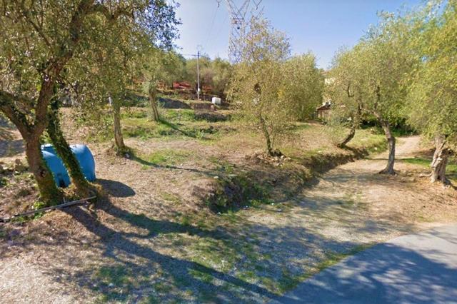 #13116 Terreno agricolo in zona residenziale collinare in vendita - foto 1