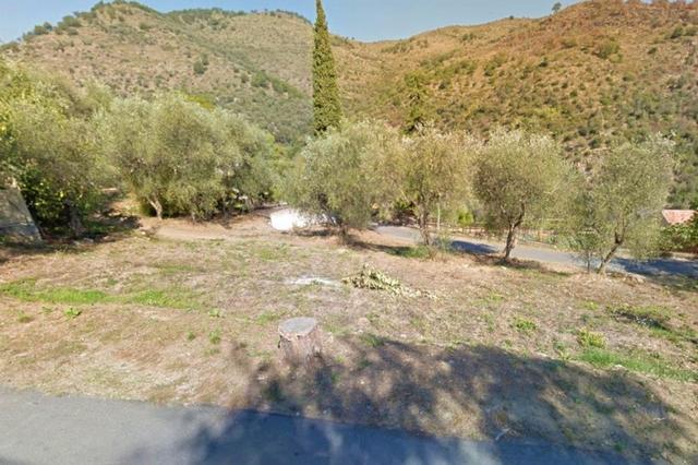 #13116 Terreno agricolo in zona residenziale collinare in vendita - foto 8