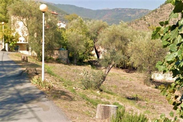Agricoli in vendita