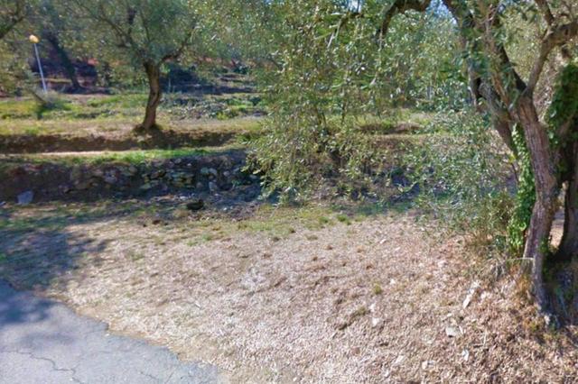 #13116 Terreno agricolo in zona residenziale collinare in vendita - foto 7