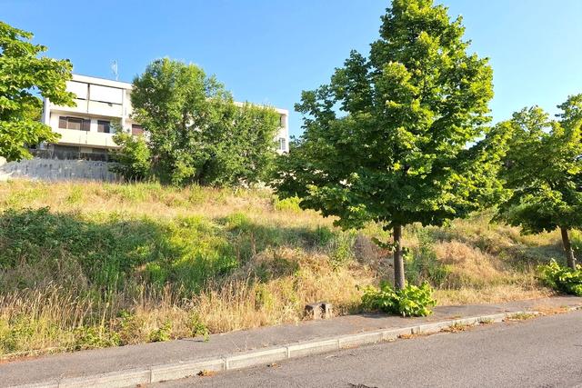 photogallery 1