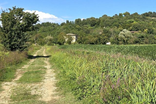 Agricoli in vendita