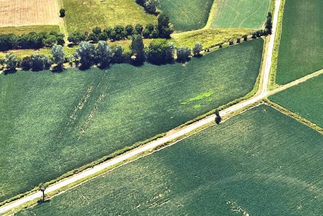 Agricoli in vendita