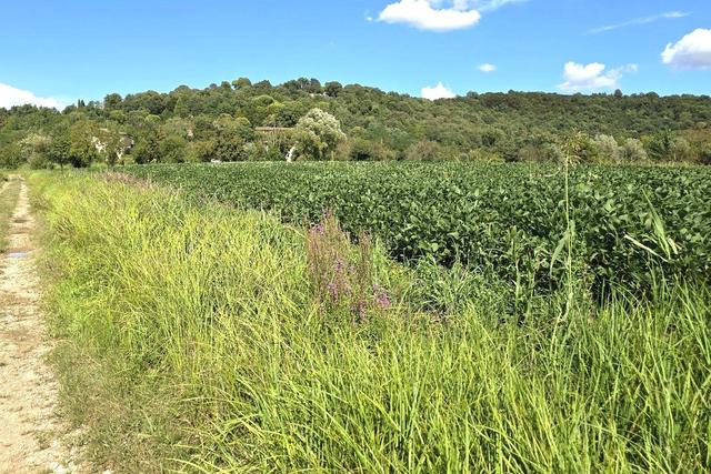 Agricoli in vendita