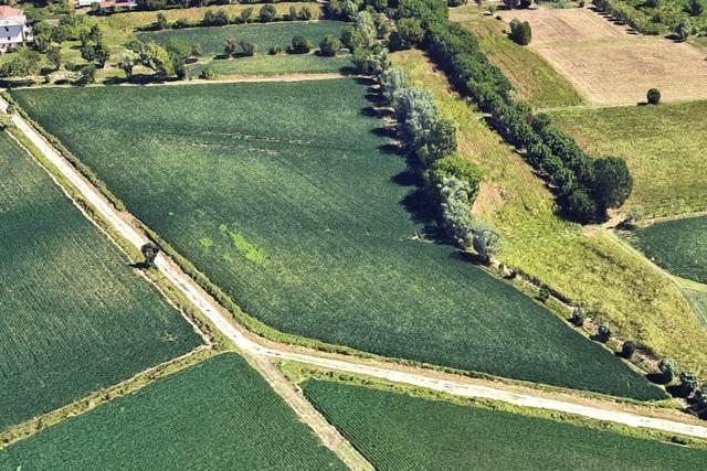 Agricoli in vendita