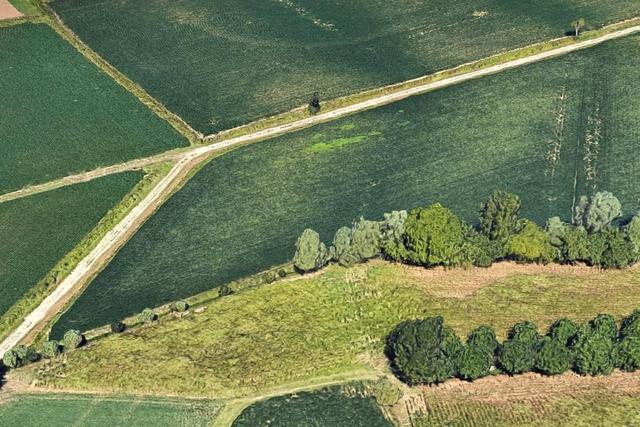 Agricoli in vendita