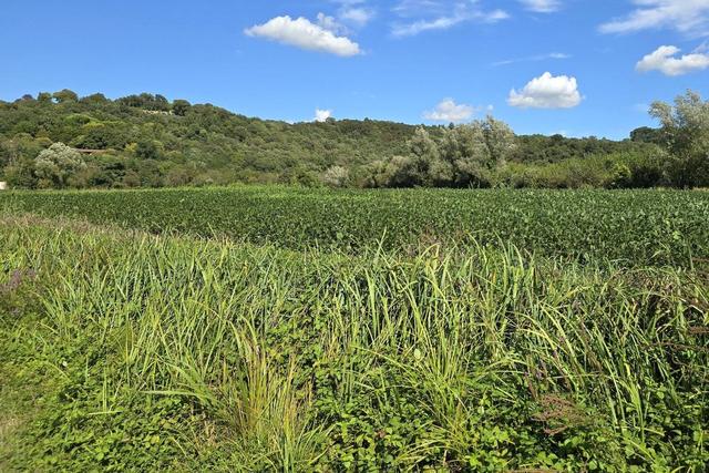 Agricoli in vendita