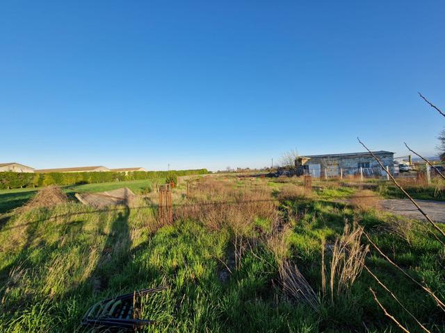 #25739 Fabbricati con ampia area di terreno in vendita - foto 5