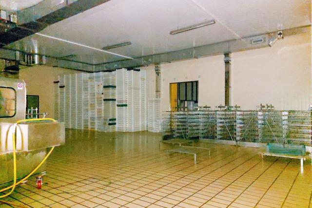 #20747 Opificio industriale con porzione di terreno in vendita - foto 5