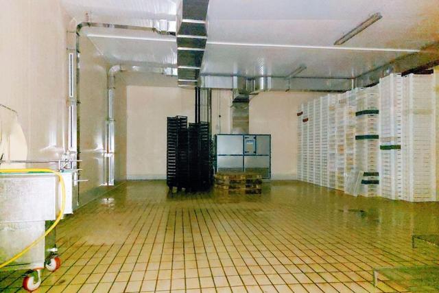 #20747 Opificio industriale con porzione di terreno in vendita - foto 9