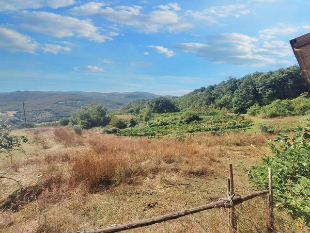 #24296 Terreni Agricoli a Todi e Baschi - Sup. Tot 16930 mq in vendita - foto 8