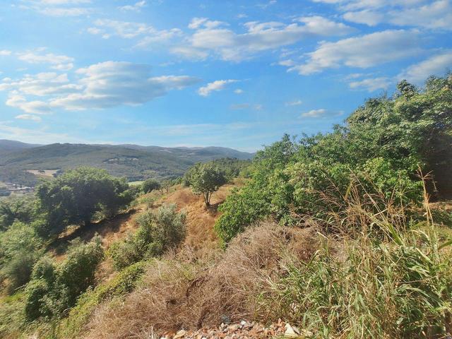 Agricoli in vendita