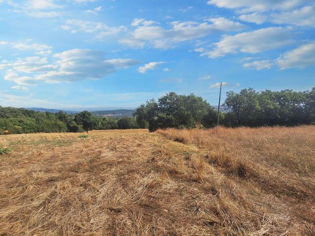 #24296 Terreni Agricoli a Todi e Baschi - Sup. Tot 16930 mq in vendita - foto 10