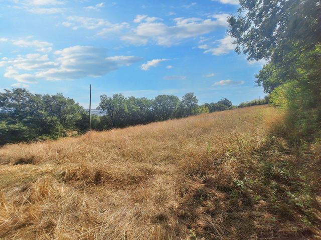 #24296 Terreni Agricoli a Todi e Baschi - Sup. Tot 16930 mq in vendita - foto 5