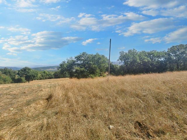 #24296 Terreni Agricoli a Todi e Baschi - Sup. Tot 16930 mq in vendita - foto 9