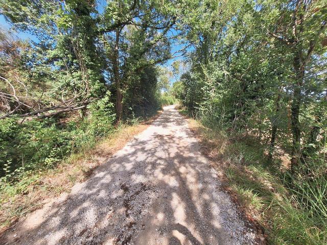 #24296 Terreni Agricoli a Todi e Baschi - Sup. Tot 16930 mq in vendita - foto 12