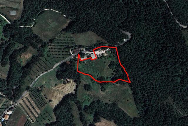 #24296 Terreni Agricoli a Todi e Baschi - Sup. Tot 16930 mq in vendita - foto 18