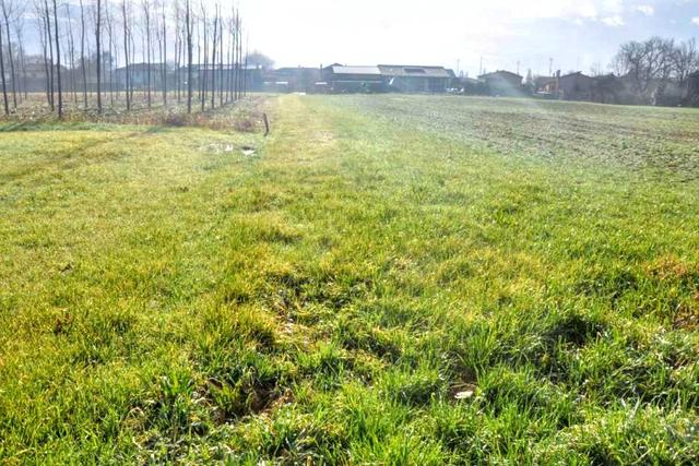 #2531004 Appezzamenti di terreno di 12.973 mq in vendita - foto 5