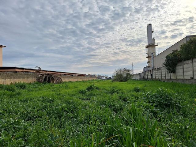 #26204 AFFITTO – capannone con ampio piazzale e parcheggio in vendita - foto 10