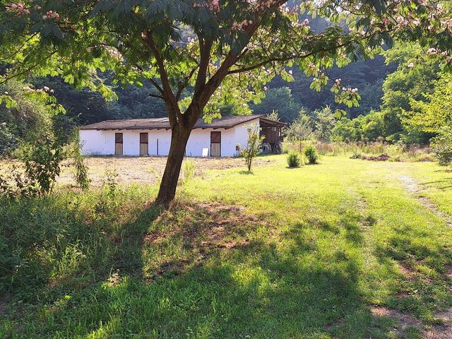 Agriturismi in vendita
