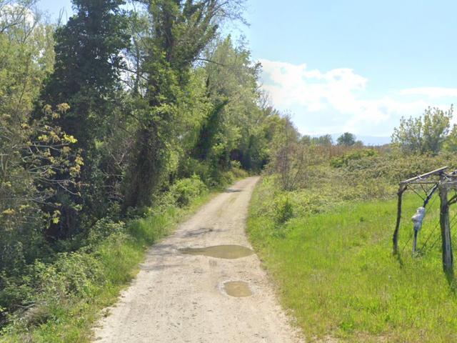 photogallery 2