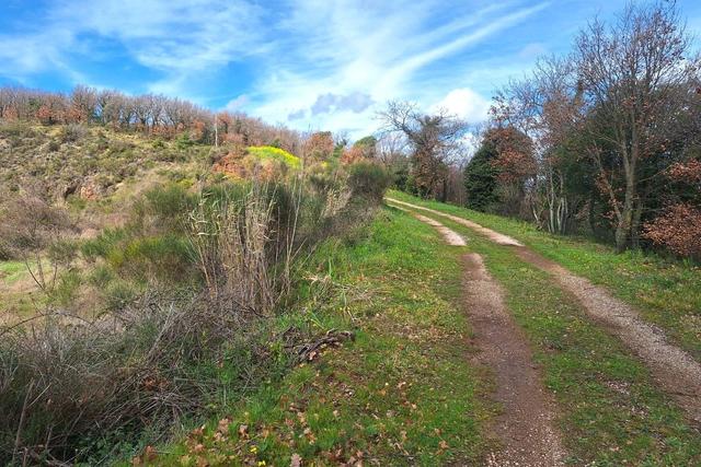 #25914 Terreno con ex cava dismessa di 6470 mq in vendita - foto 1